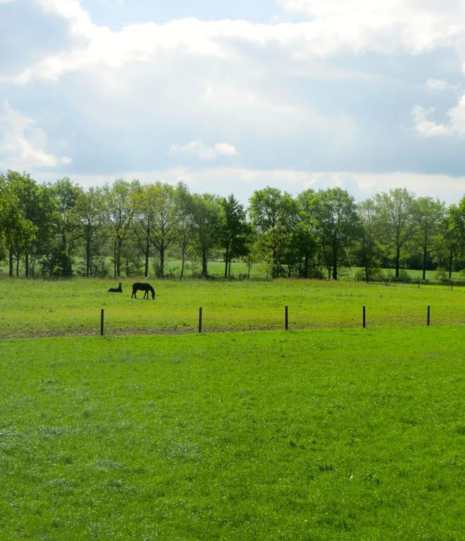 The Black Horse B&B & More Drachten Bilik gambar